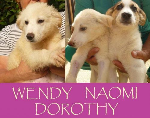 Wendy_e_naomi