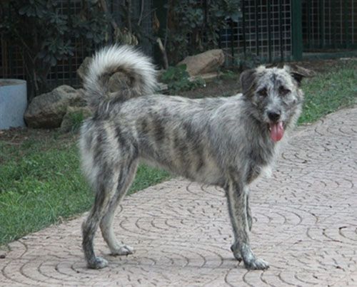 betzi-abruzzo2