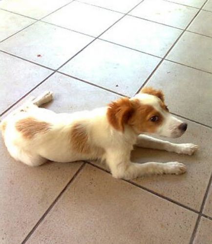 evita_copy