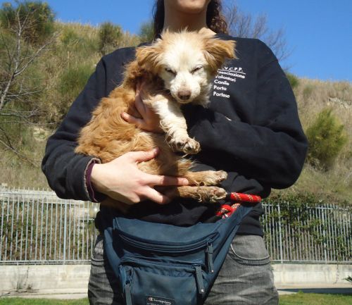 felicetto_muratella
