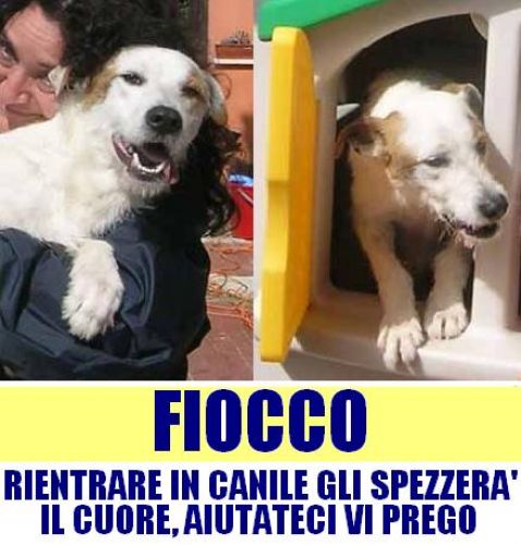 fiocco_APPELLO
