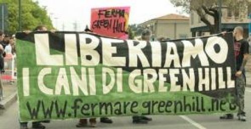 foto-fermare-green-hill_interna