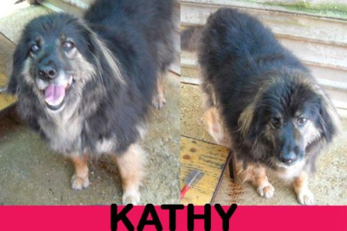 kathy1