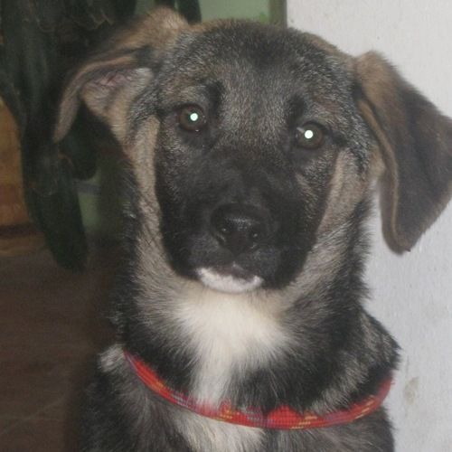 lunda3