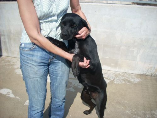 nera_3
