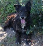 1109-11-ex_poverello