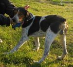 ATHOS_2