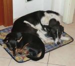 Bacco_e_Pina2