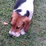 Benny_e_Marcello2