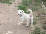 Ciccio42011