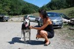 DiabolikRomina15-08_2011