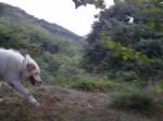 Gastone_ed_Umberto3