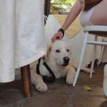 Gastone_ed_Umberto4