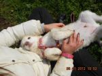 Lampo2