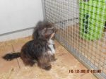 Minni1