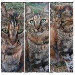 RACCUIA_copy_copy