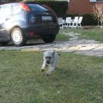artu2