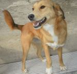 betty2_rifugio_di_lanuvio
