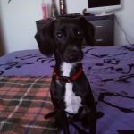black-e-marco1