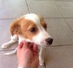 evita1