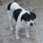 matilde10_2727