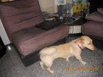milly1