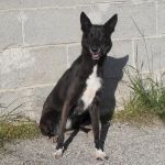 nerina_excinodromo01