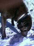 romeo-e-gianluca-agg1
