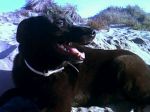 romeo-e-gianluca-agg2