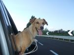 smarrito_autostrada_sarc