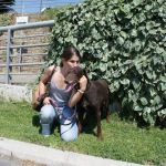 via__dalla_gabbia_2