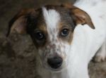 margot_2_rifugiodilanuvio