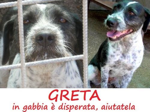 GRETA_APPELLO