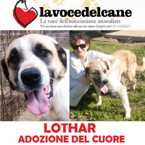LOTHAR_CUCCIOLISSIMI_copy