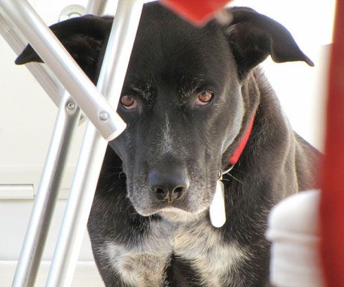 Nerone-e-laura