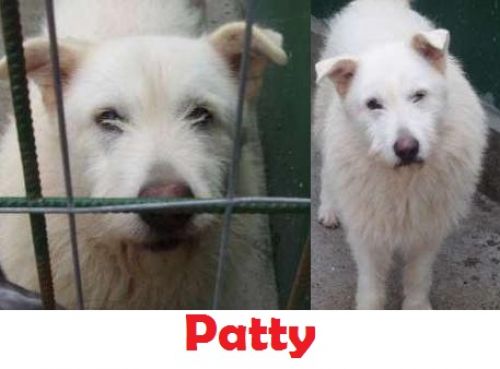 PATTY