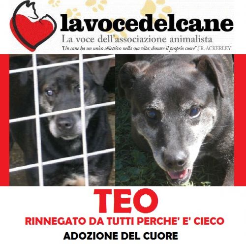 TEO_CIECO