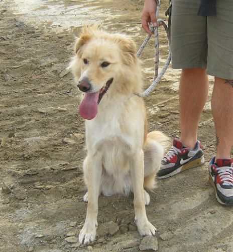 blondy.1