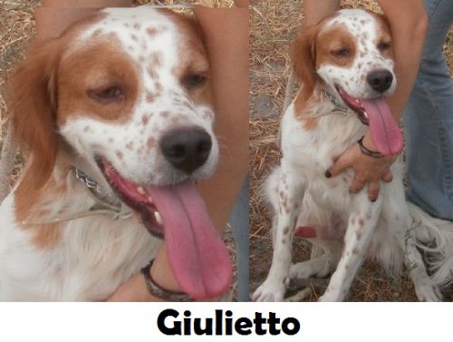 giulietto_breton
