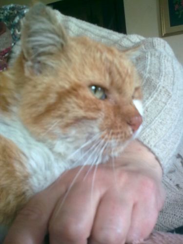 otto
