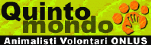 quintomondo