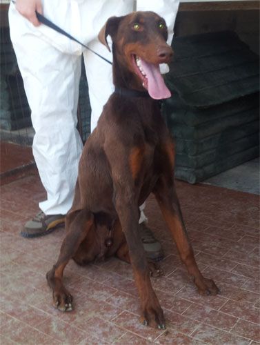raul