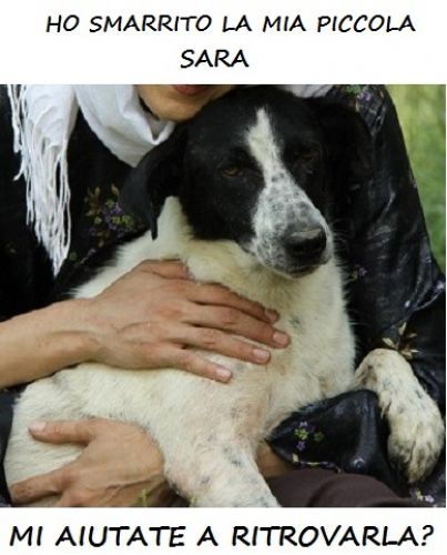 smarrita_bari