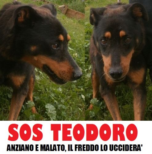 teodoro_SOS