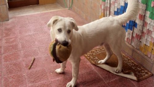 testimonianza_lucky