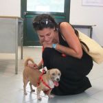 ASPETTANDO-I-DOCUMENTI