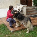 Apollo-Diana-e-Valentina3