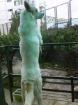 Cucciolone_na1