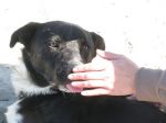 NERONE5
