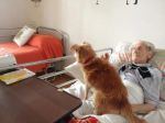 abramo_adozione1